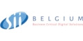Logo SII Belgium