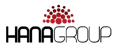 Logo HanaGroup